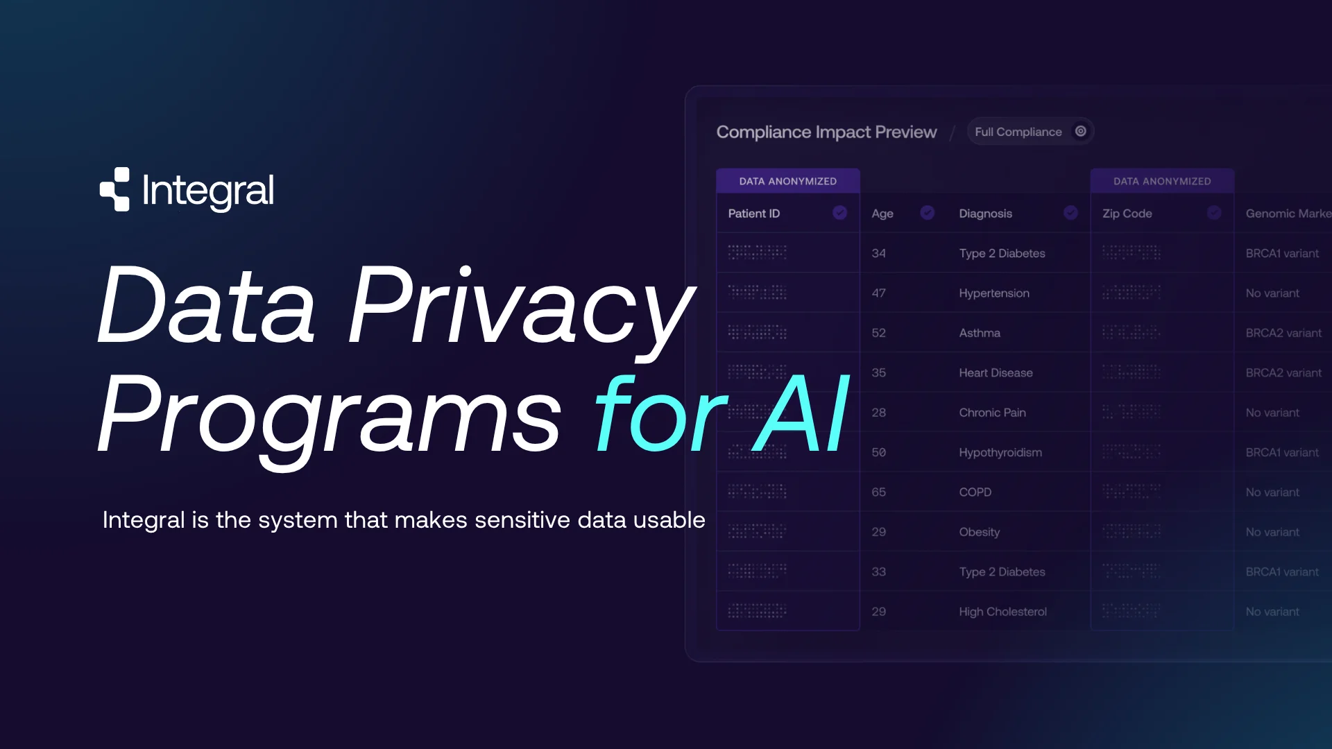 Integral Data Privacy Programs for AI